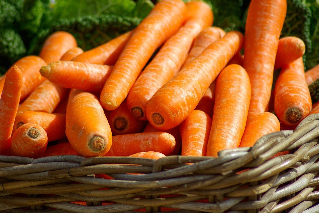 carrots, basket, vegetables, market, food, orange vegetables, harvest, produce, fresh, organic, fresh produce, vegetable basket, carrots, carrots, carrots, carrots, carrots, vegetables, vegetables, vegetables, vegetables